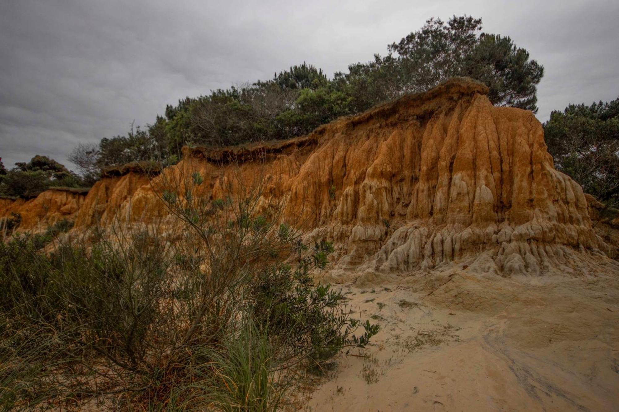 Biodiversidad La Pedrera Kültér fotó