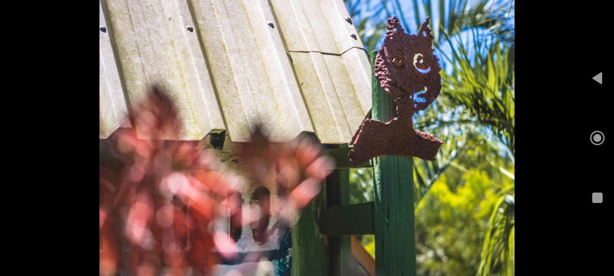 Biodiversidad La Pedrera Kültér fotó