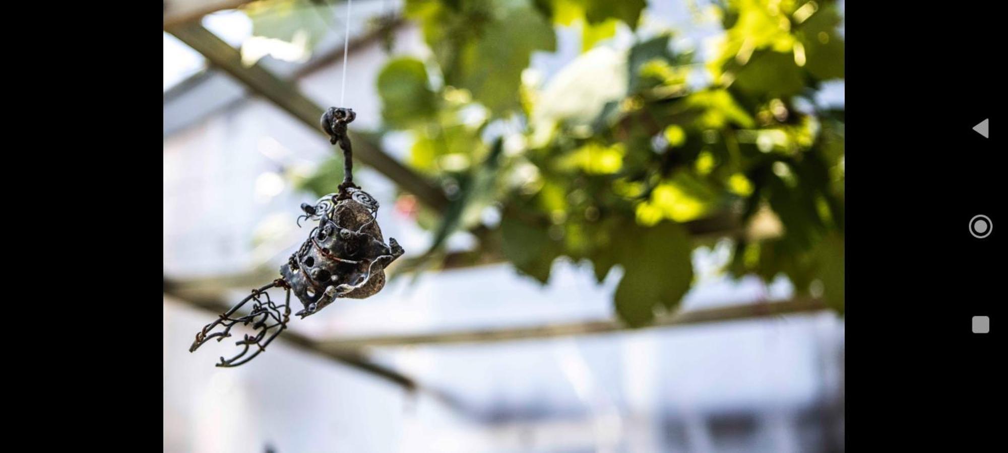 Biodiversidad La Pedrera Kültér fotó